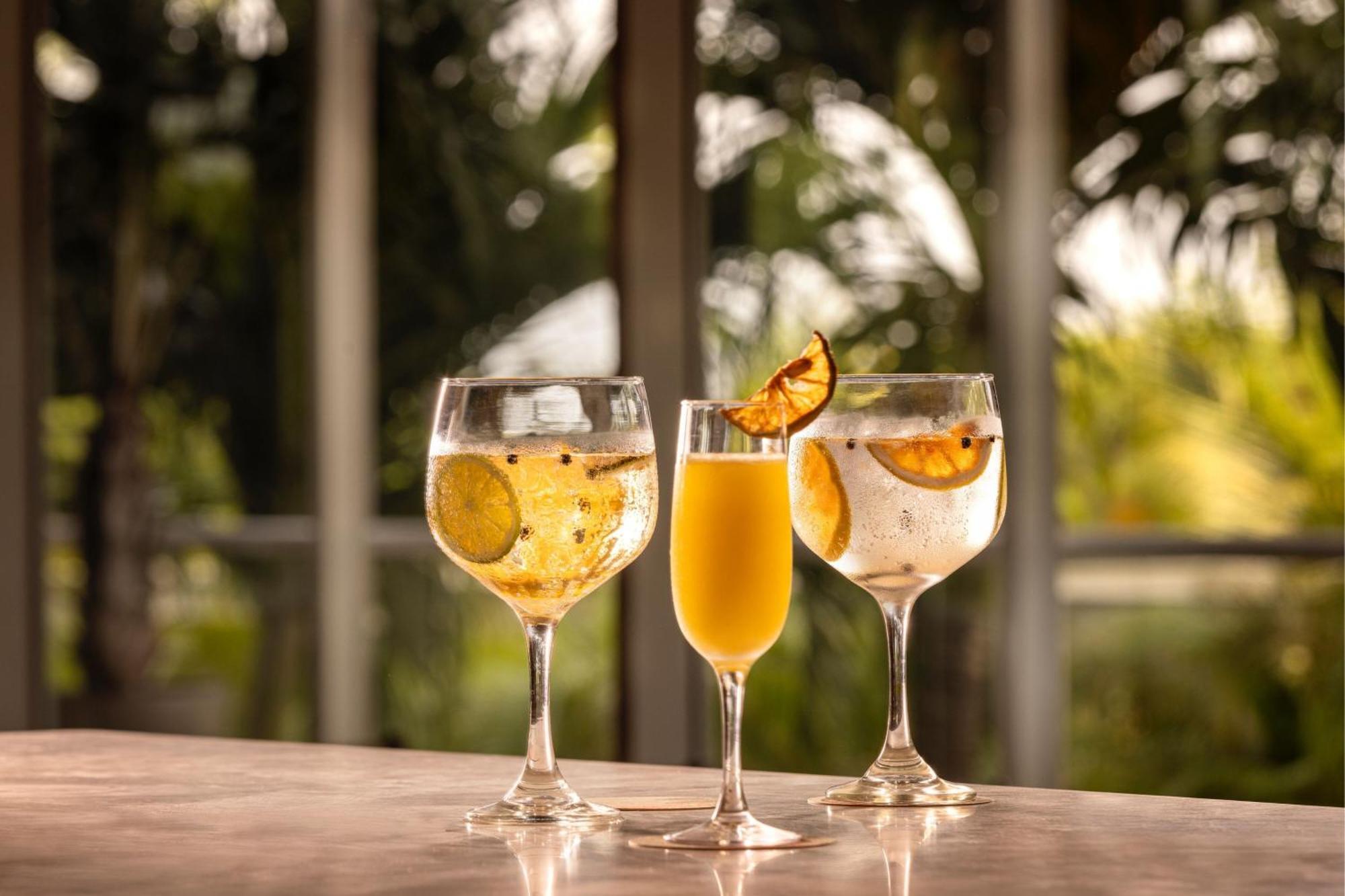 Santa Marta Marriott Resort Playa Dormida Экстерьер фото Glasses of ginger beer